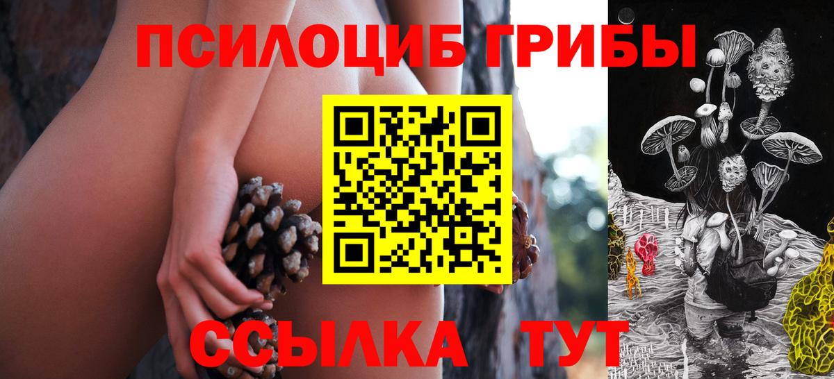 Галлюциногенные грибы GOLDEN TEACHER  Галлюциногенные грибы Psilocybine cubensis  Вход с VPN  Сергиев Посад 