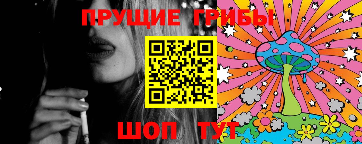 Галлюциногенные грибы Cubensis Сергиев Посад